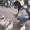 Yiran Hu feeding Pidgeons