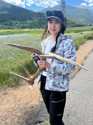 Ziqi Dai