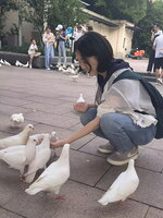 Yiran Hu feeding Pidgeons