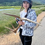 Ziqi Dai